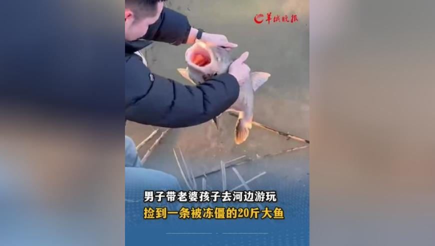 2025澳门免费资料大全app,愿意与Mujica重修旧好吗,精准解释落实及其象征意义_创意版V11.66
