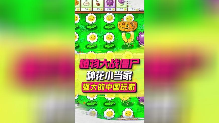 澳门正版免费资料大全新,爱彼迎Q4业绩超预期,完美答案解释落实_破例版V9.53