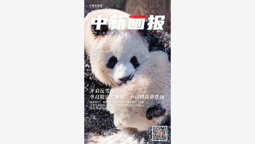 2o24澳门一肖一码一特中,日本米价持续高涨政府开仓放粮,广泛的解释落实方法分析_增强版V2.83