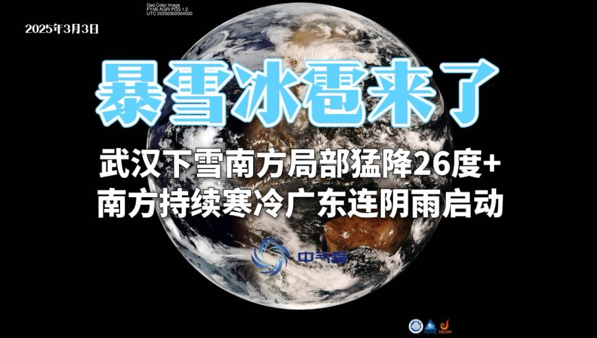 澳门开奖直播,男女主人吵架 狗子劝架,经济性执行方案剖析_破例版V1.74