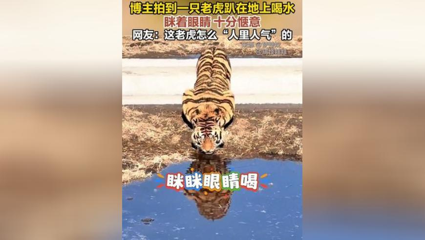 2025澳门资料大全,定远中学提前开学涉事人被停职,国产化作答解释落实_游戏版V13.76