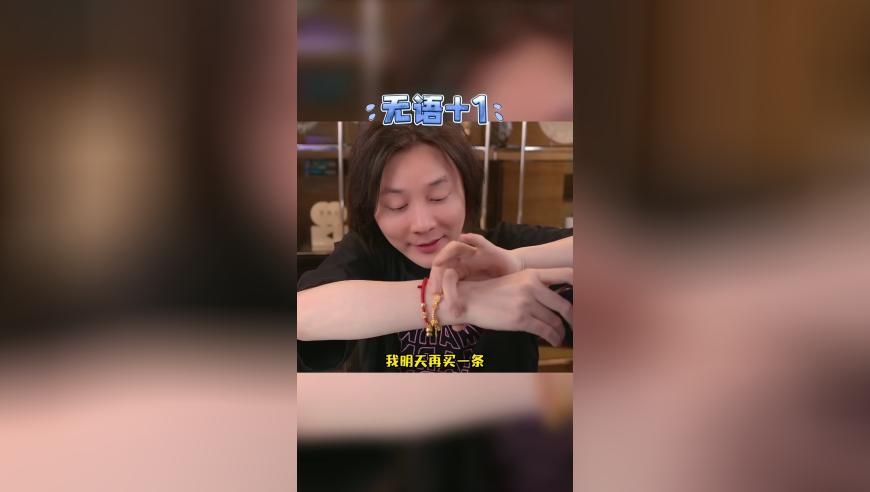一句玄机全年资料二零一七年,这大概就是中国人才懂的意境,展开计划实施_完整版V5.27