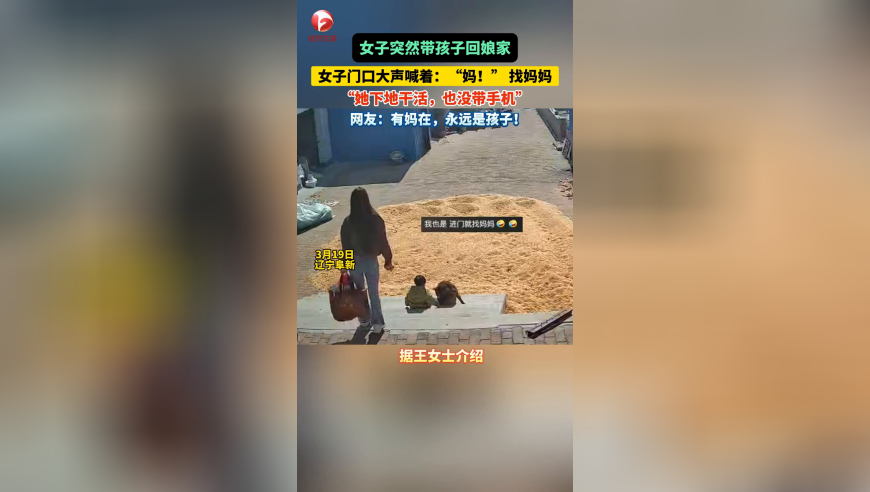 澳门一肖一码100准免费资料三中三,重庆轨道司机年薪达10万为假,经济性执行方案剖析_HarmonyOSV11.91