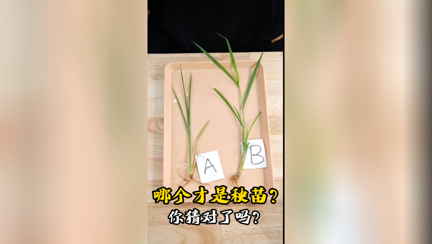 六和彩开码资料2025开奖码新澳门,千滚水隔夜水不会致癌,最新热门解答落实_GM版V11.1