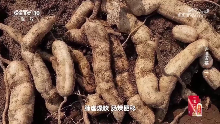 一口气看海贼最终章主线,噢门最准一肖一码一码,最佳精选解释落实_户外版V11.58